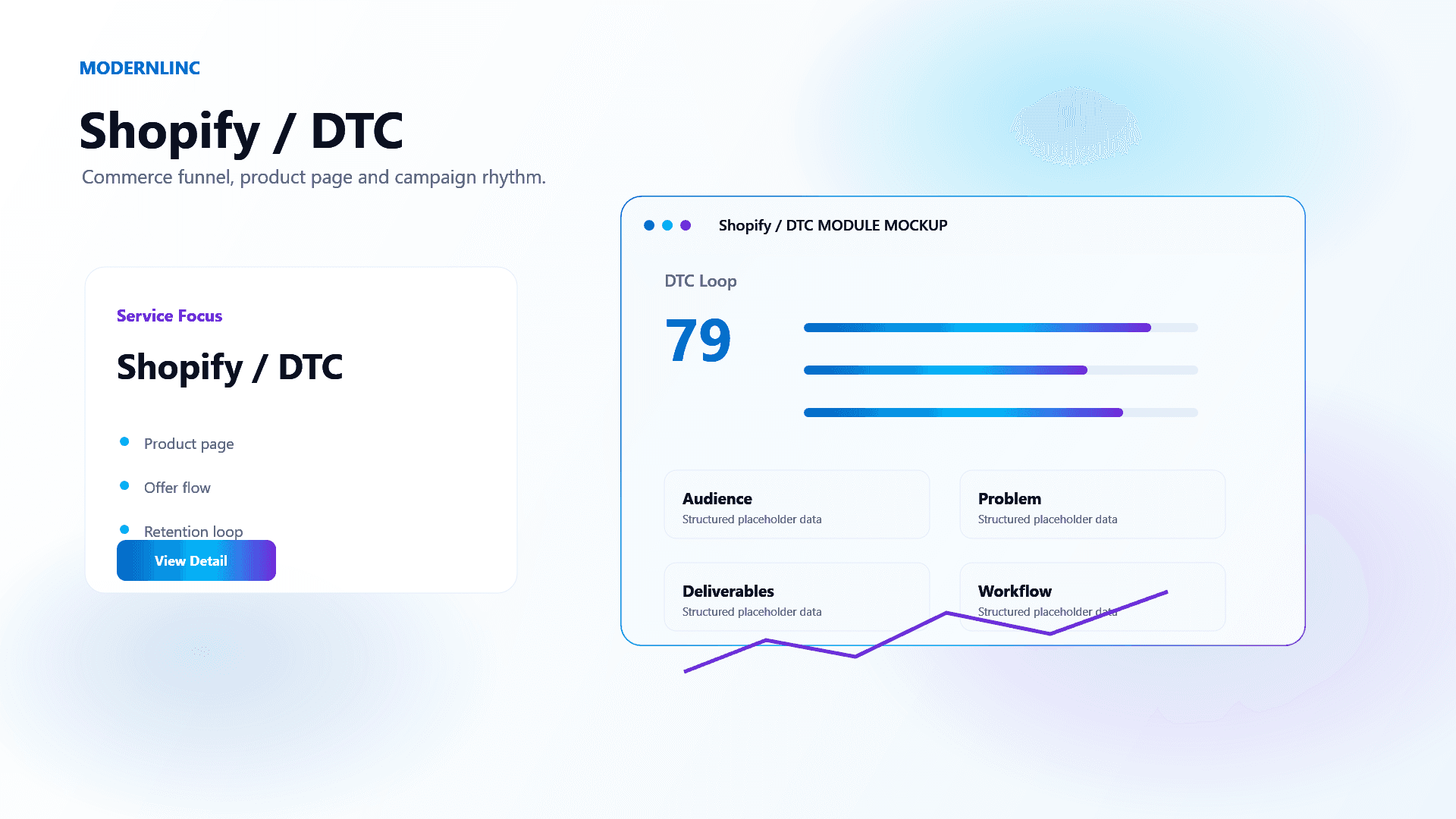 Shopify / DTC 增长咨询 占位图